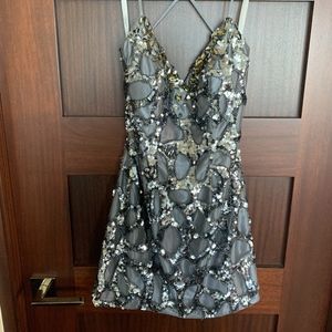 Terani Dress NWT